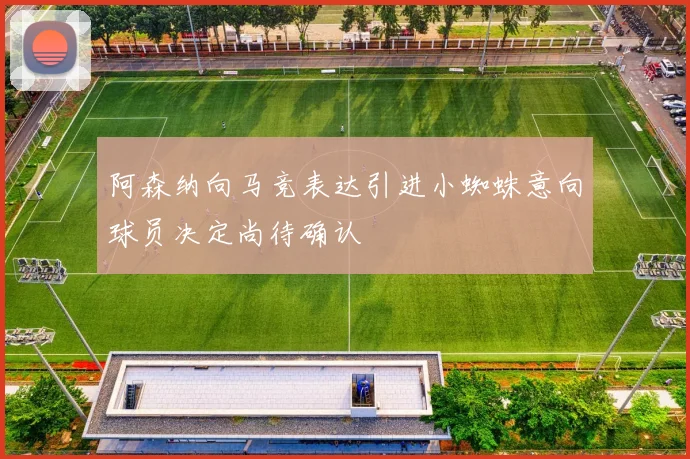阿森纳向马竞表达引进小蜘蛛意向球员决定尚待确认