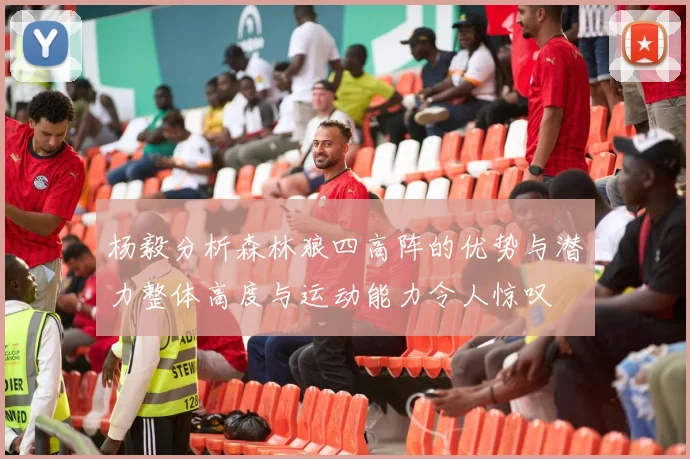 杨毅分析森林狼四高阵的优势与潜力整体高度与运动能力令人惊叹