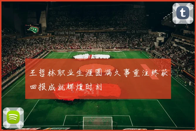 王哲林职业生涯圆满久事重注终获回报成就辉煌时刻